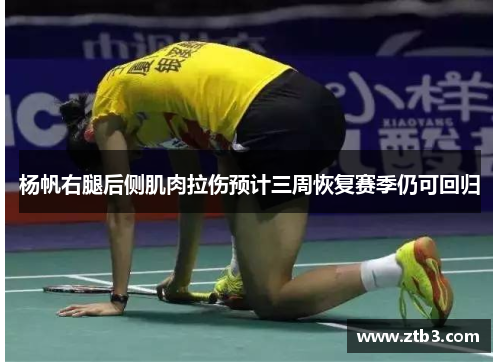 杨帆右腿后侧肌肉拉伤预计三周恢复赛季仍可回归